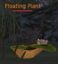 Floating Plant